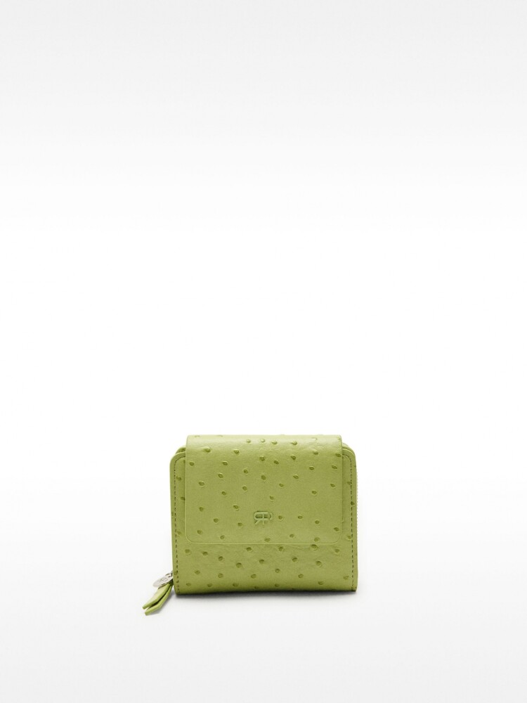 Cartera Con Grabado Animal verde