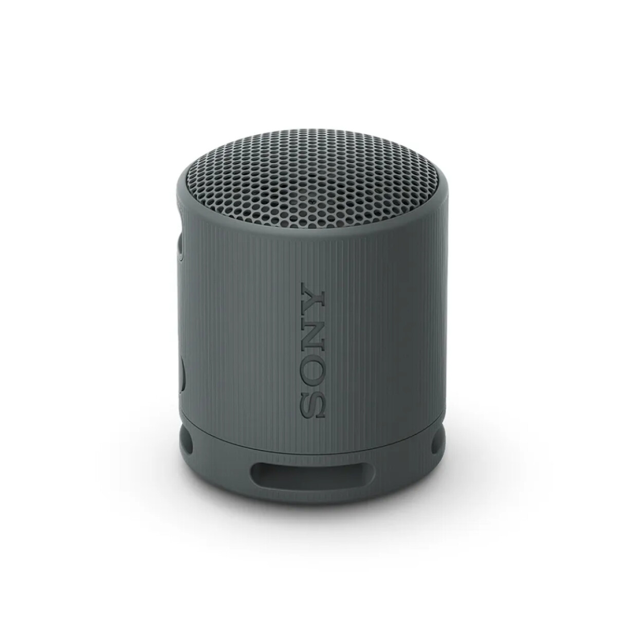 Parlante Inalámbrico Portatil Sony SRS-XB100 - Negro 