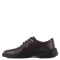 Zapatos de Hombre Lombardino Lexus Marrón