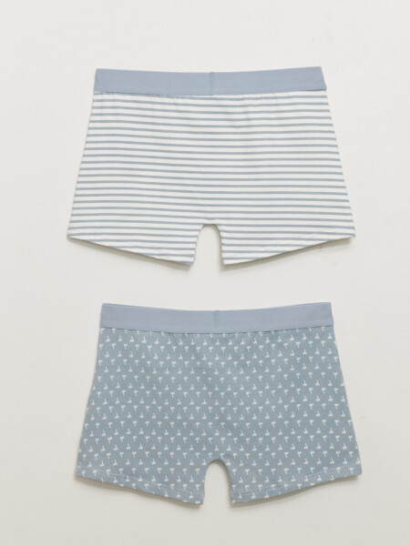 Pack X2 Boxer Estampado Palmeras Gris