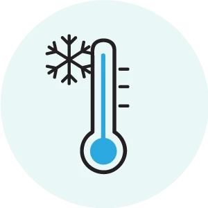 Team Invierno