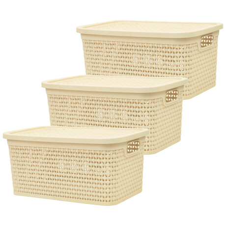 Set x3 Caja simil ratán 4 lts 26,7x18x12cm BEIGE