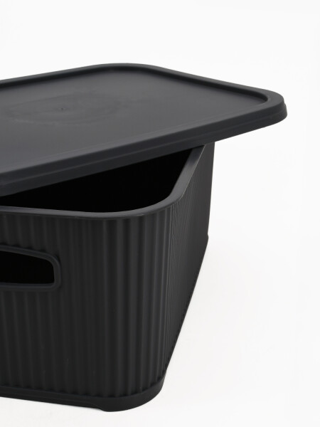 CAJA ORGANIZADORA CON TAPA GRIS