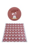Stickers pascua plancha DISEÑO 6