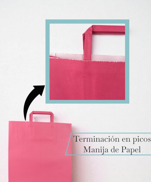 Bolsa lisa acuario 30x12x41 cm FUCSIA