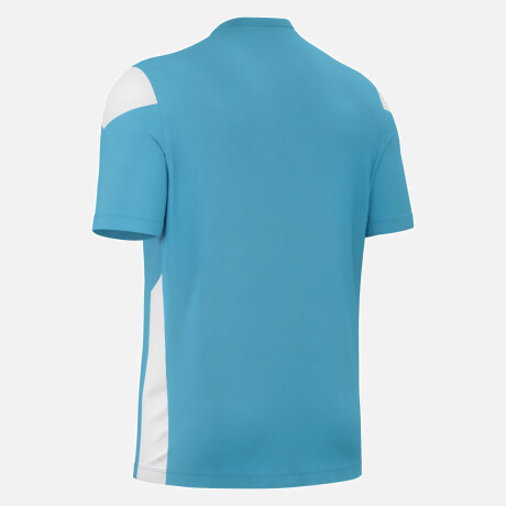 REMERA DE ENTRENAMIENTO POLIS COL/WHT