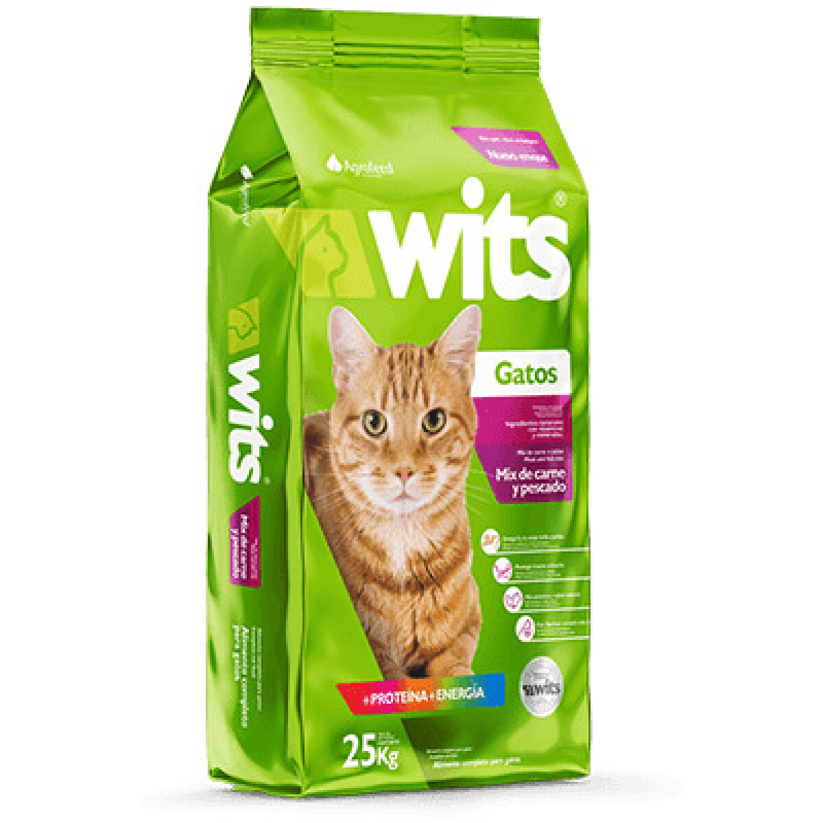 WITS GATOS 8K 
