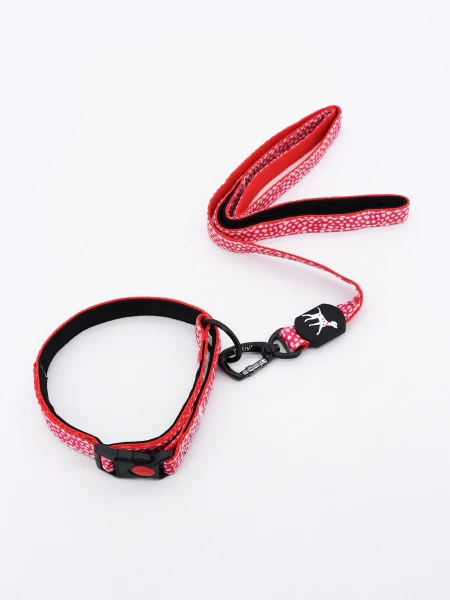 SET COLLAR CON CORREA MULTICOLOR