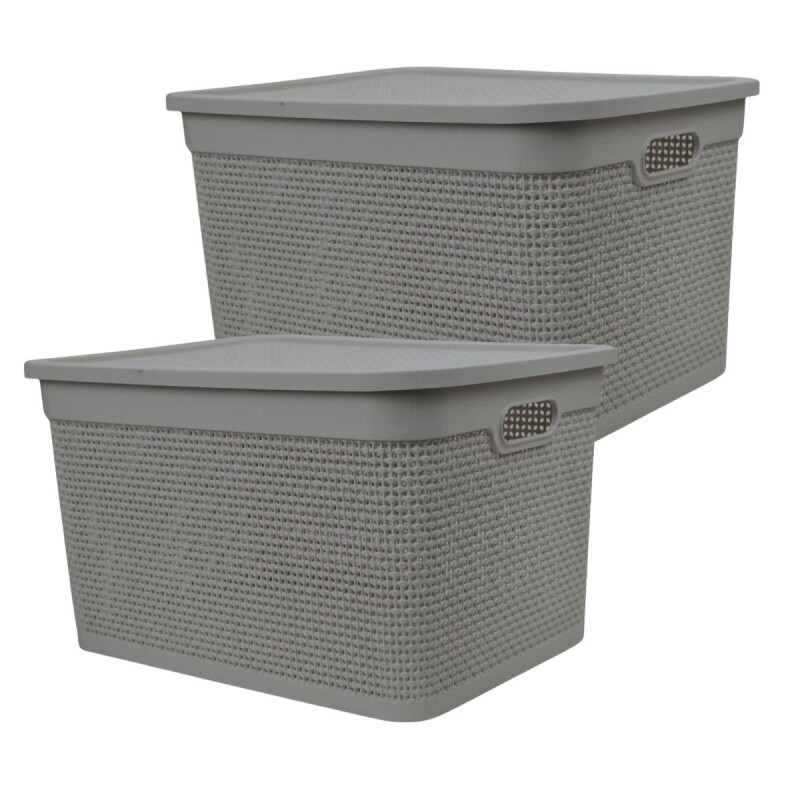 Set x2 Caja simil ratán 40 lts CAPPUCCINO