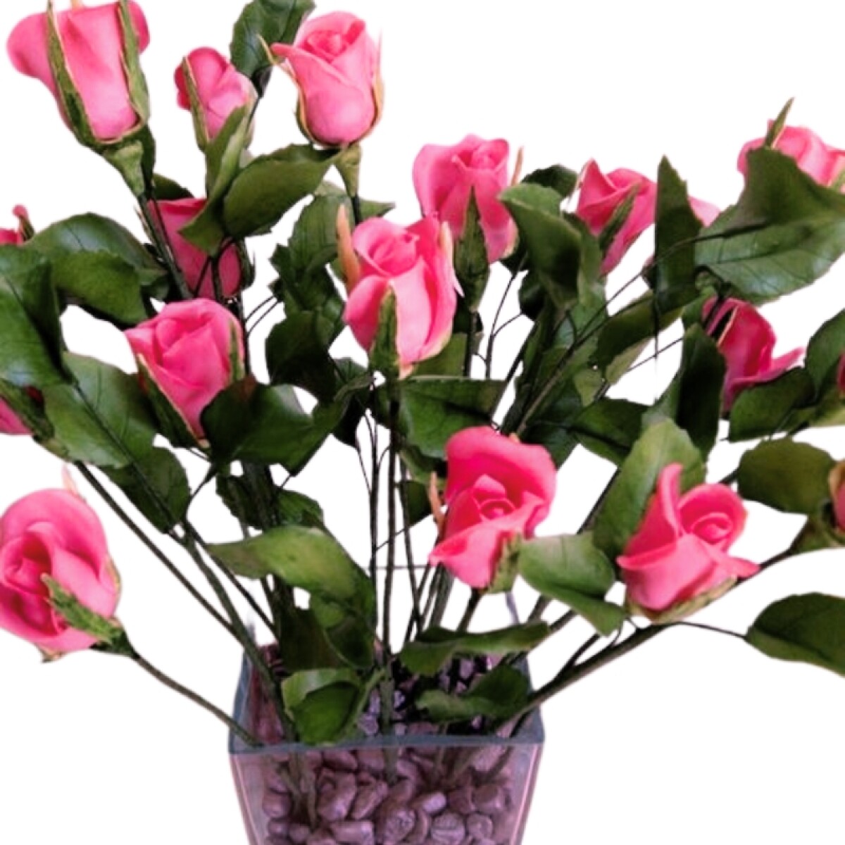 Rosas de jardín - Rosado 