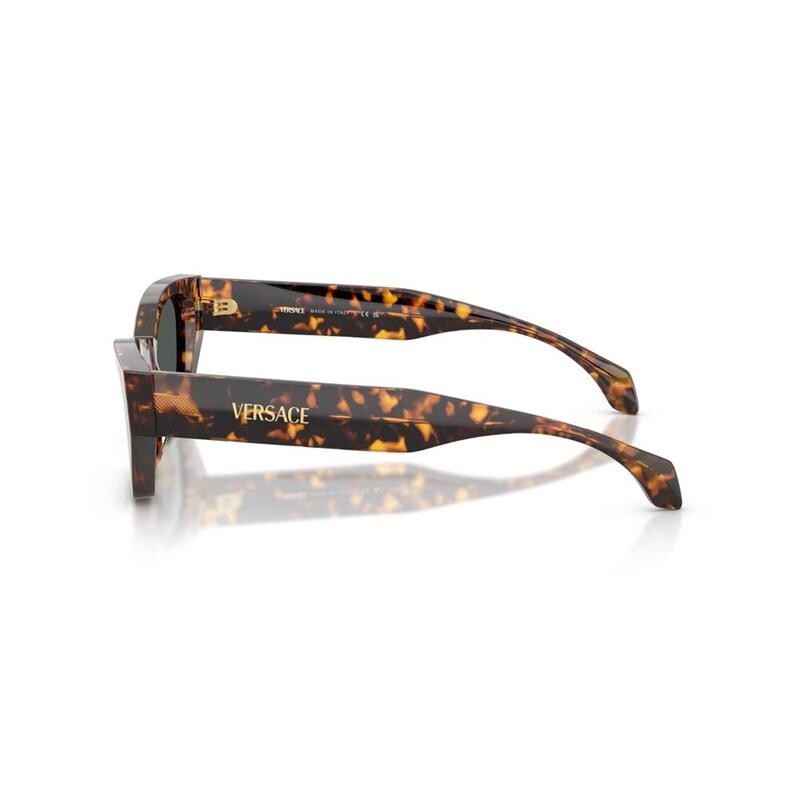 Versace Ve4488u 5514/87