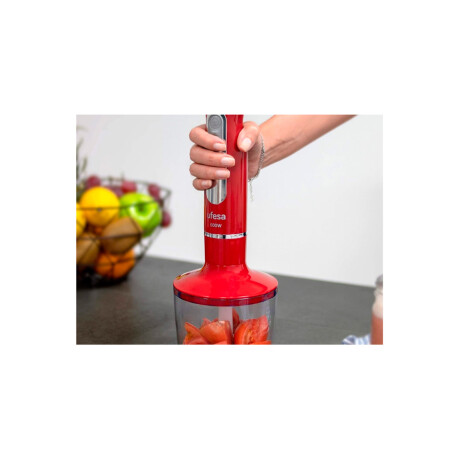Mixer con Accesorios Ufesa BP3443 Mixer con Accesorios Ufesa BP3443