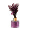 Difusor de Aromas Hojas De Color Encuentro