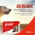 GERIOOX ANTIOXIDANTE CON OMEGA 3 CONDROPROTECTOR BLISTER 10 COMPRIMIDOS