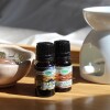 Aceite 10ml hornito Palo Santo