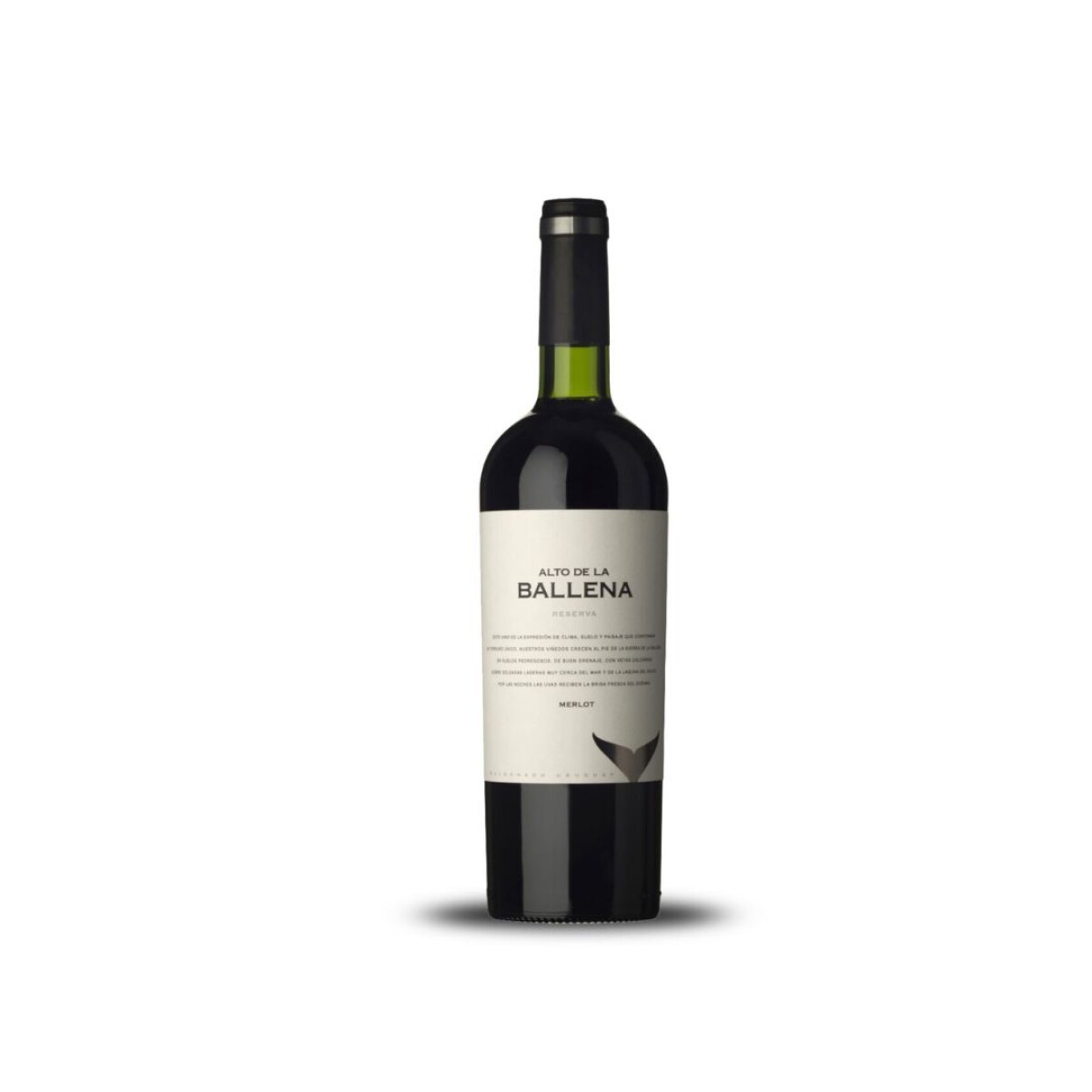 Alto De La Ballena Reserva Merlot 