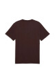 Remera Puma Graphics Sneaker Tee Marron