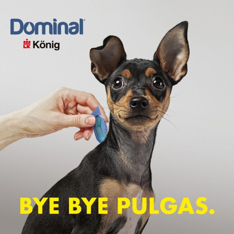 PIPETA ANTIPULGAS Y GARRAPATAS PARA PERROS DOMINAL KONIG HASTA 5 KG