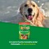 DOG CHOW EN SALSA ADULTO POLLO 100 GRAMOS DOG CHOW EN SALSA ADULTO POLLO 100 GRAMOS