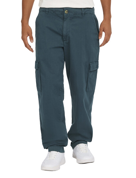 Pantalones Essentials Cargo Steel Pantalones Essentials Cargo Steel