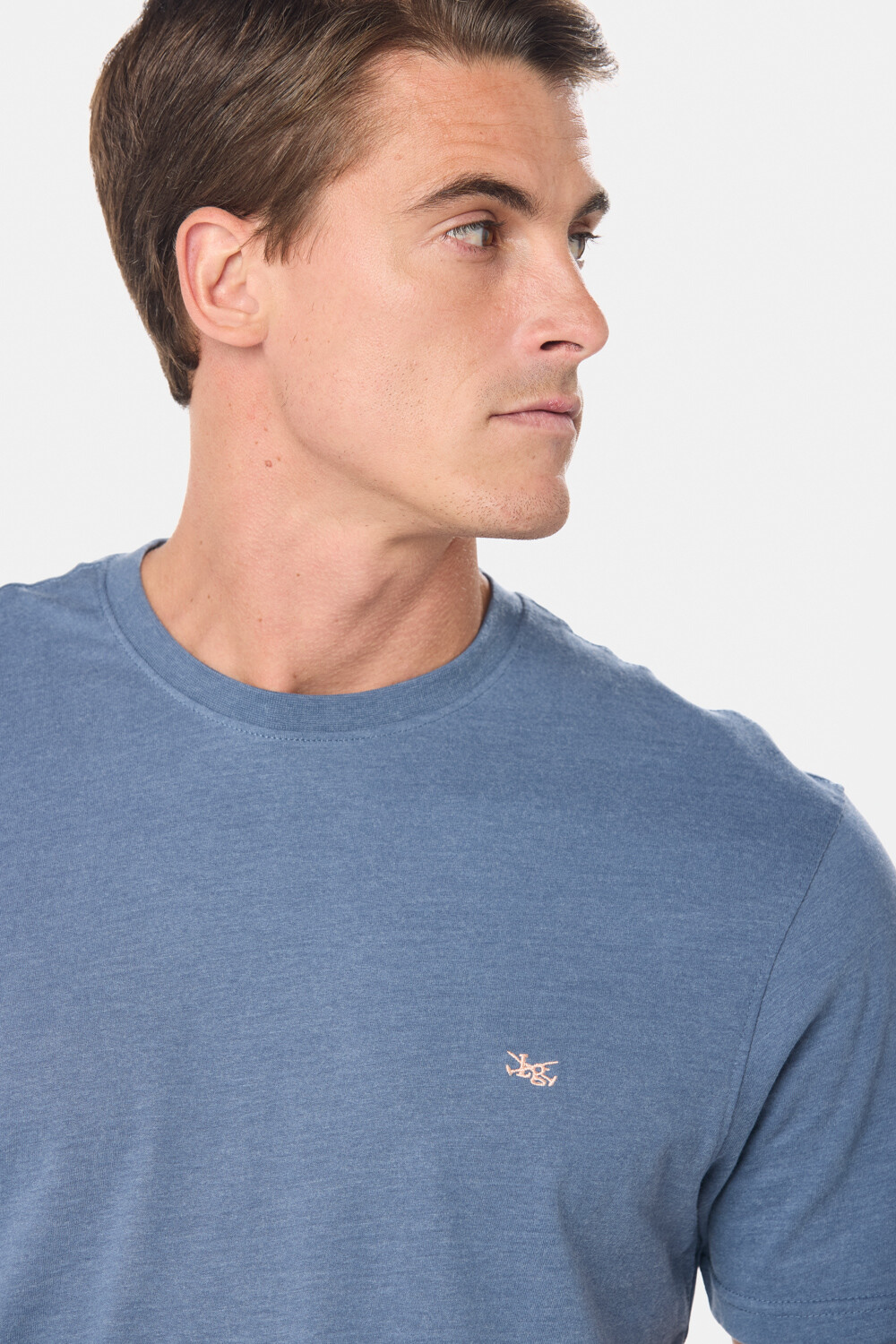 REMERA LISA DE ALGODÓN Piedra