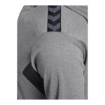 BUZO AUTHENTIC PL HOODIE UNISEX GRIS