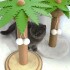 Juguete Rascador Palmera Arbol Para Gato Pom Pom Mascotas Juguete Rascador Palmera Arbol Para Gato Pom Pom Mascotas