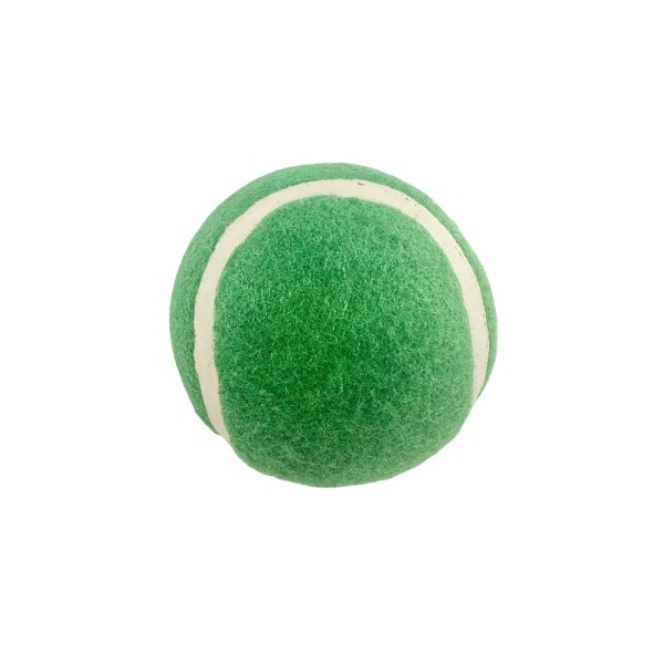 Pelota mascota 2pcs verde