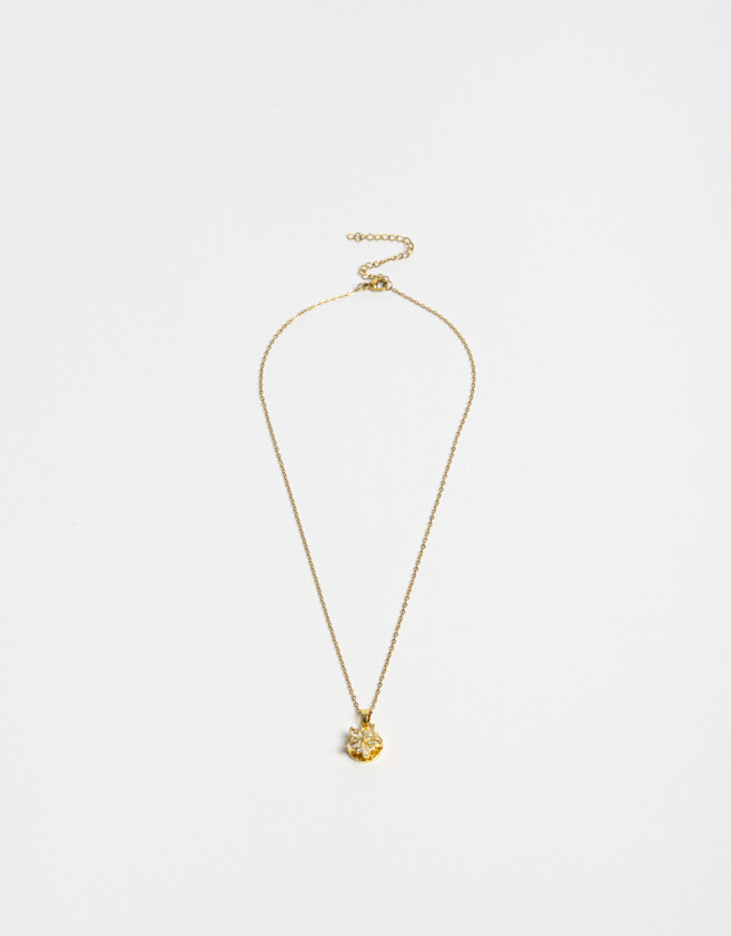 Cadena Corta con Dije Premium Gold Collar De Acero Inoxidable - Dorado