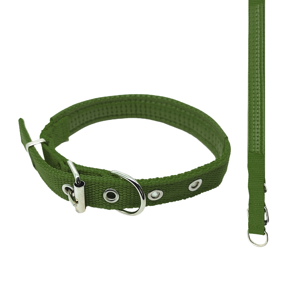 Collar 2cm Perros Gatos Interior Acolchado Color verde