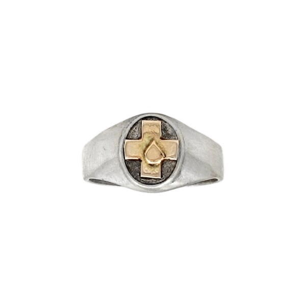 Anillo Profesión Auxiliar de Servicio-Plata y Oro-Sin Piedra-AP5023 sinpiedra