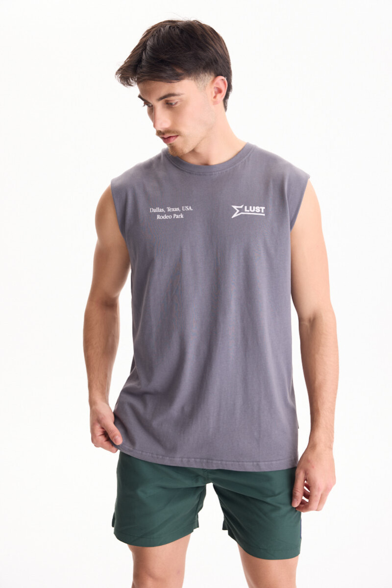 Remera Texas Gris