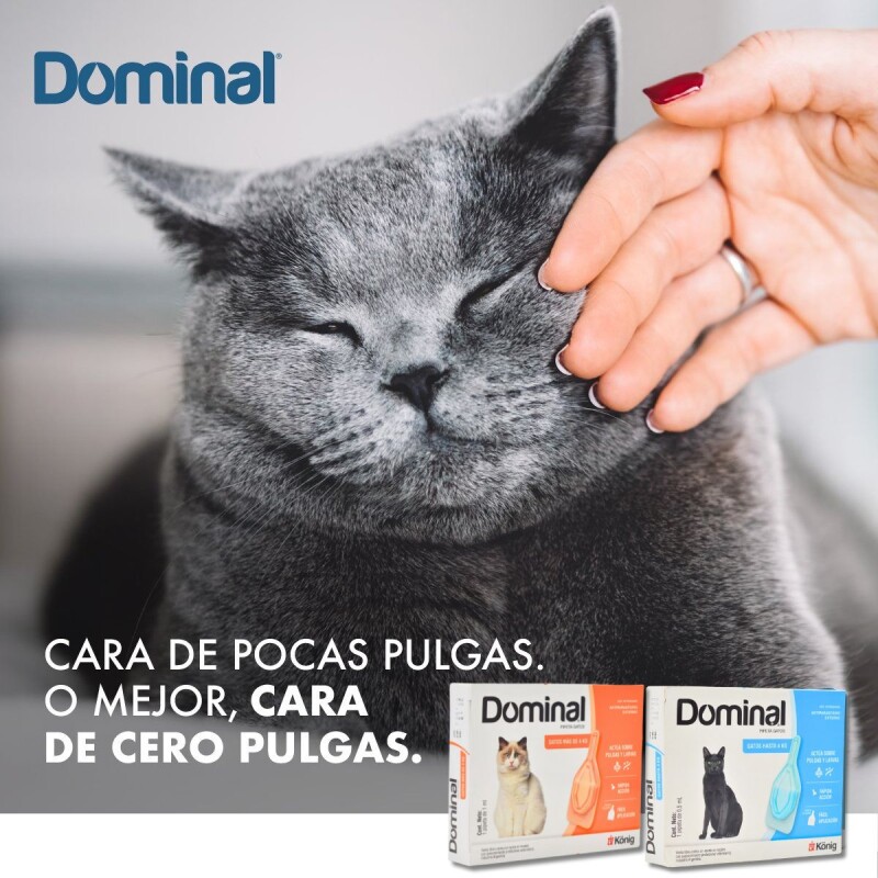 PIPETA ANTIPULGAS Y ANTIGARRAPATAS DOMINAL GATOS KONIG HASTA 4 KG