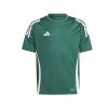 adidas TIRO 24 GREEN