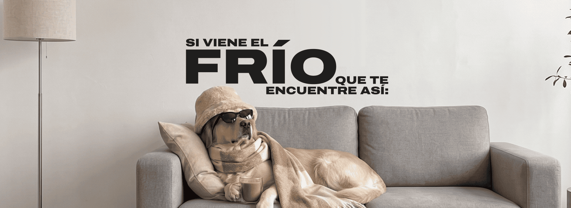 HomeSlider - Invierno