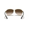 Ray Ban Rb3386 001/13