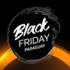 BLACK FRIDAY 30%