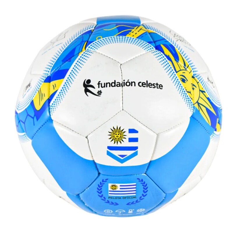 Pelota N°2 / Fundación Celeste Pelota N°2 / Fundación Celeste