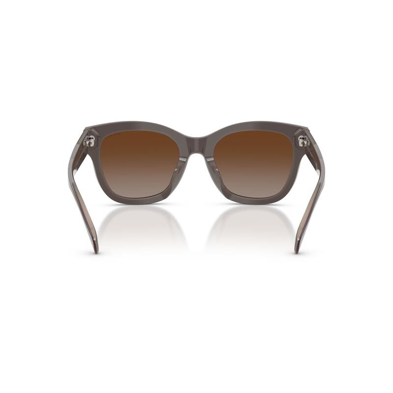 Ralph Lauren 5301u 6055/t5