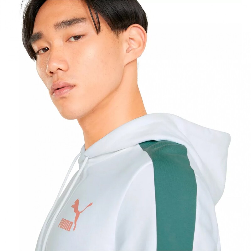 Puma Iconic 7 T Hoodie 520