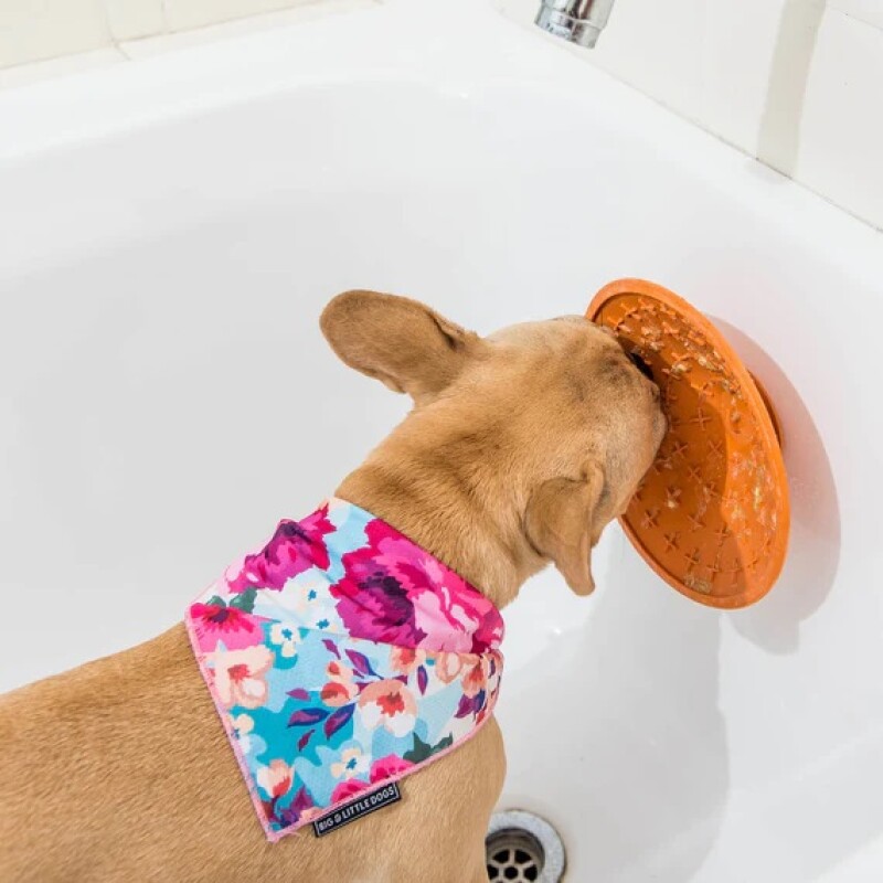 LICKIMAT SPLASH LICKIMAT SPLASH