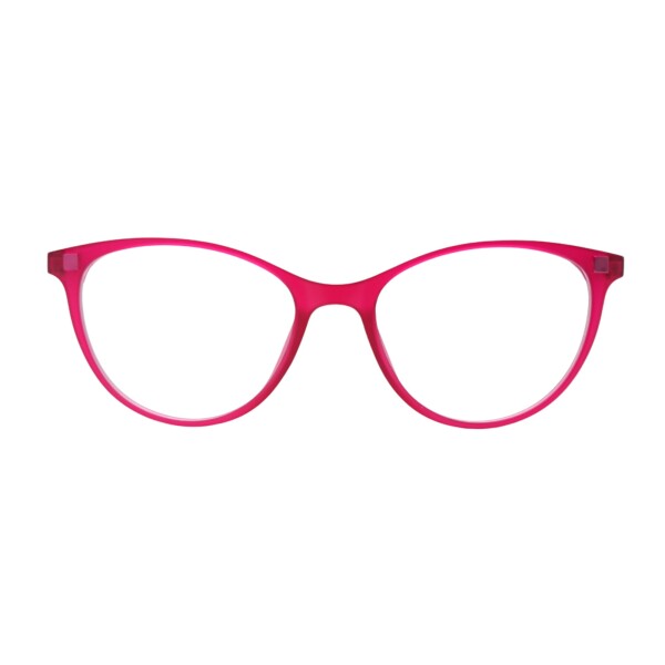 KS094529 fucsiauniforme