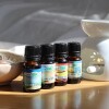 Aceite 10ml hornito Anti-estrés