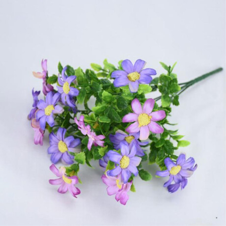 Margarita Violeta