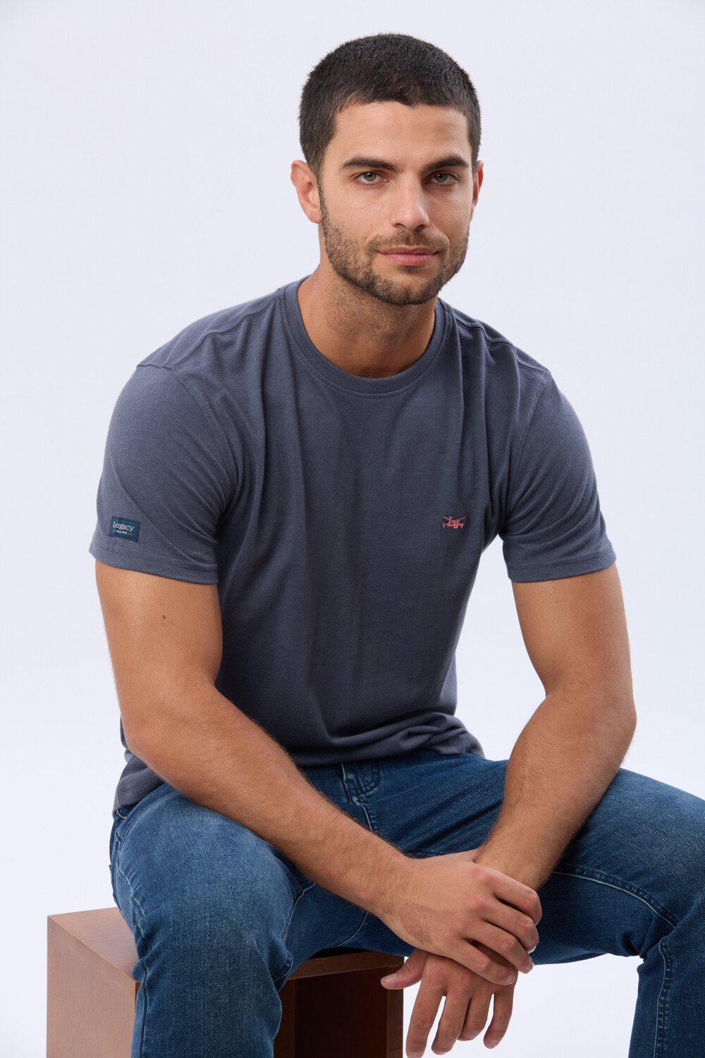 REMERA BÁSICA DE ALGODÓN Denim