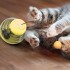 Juguete Gato Dispensador Comida Interactivo Mascota Alimento Color Variante Amarillo