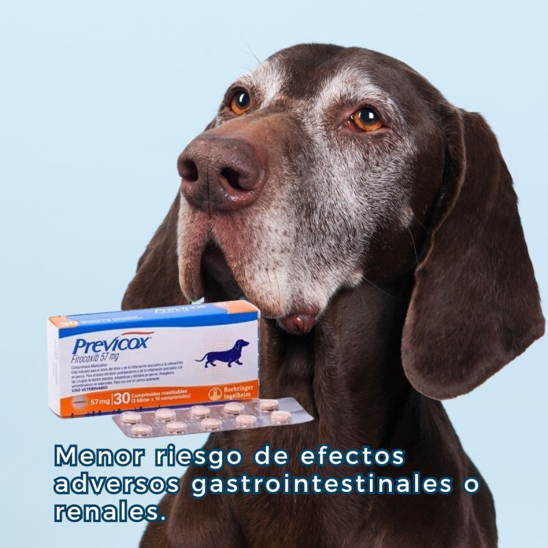 PREVICOX 57 MG X BLISTER DE 10 COMPRIMIDOS