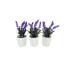 Buquets flor lavanda artificial en maceta x3 unidades Buquets Flor Lavanda Artificial En Maceta X3 Unidades