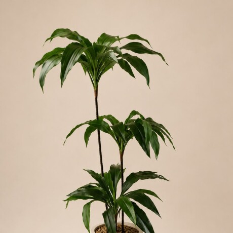 Planta Artificial - 1.40 m Planta Artificial - 1.40 m