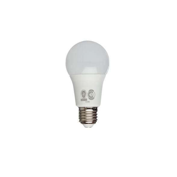 Lámpara LED tipo bulbo E27 220V 13W fría 6400K SK2956